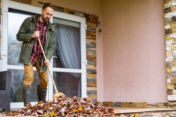 Best Basement Cleanout Services  in Calabash, NC